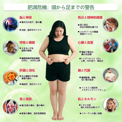 🌟🌟公式旗艦店 /ANGELTRAP®＆NAD+ 10-in-1 ナノ強化フォーミュラ — 肥満、肌のたるみ、糖尿病、睡眠時無呼吸症候群、関節の悩み、その他健康上の懸念にアプローチ🛡️